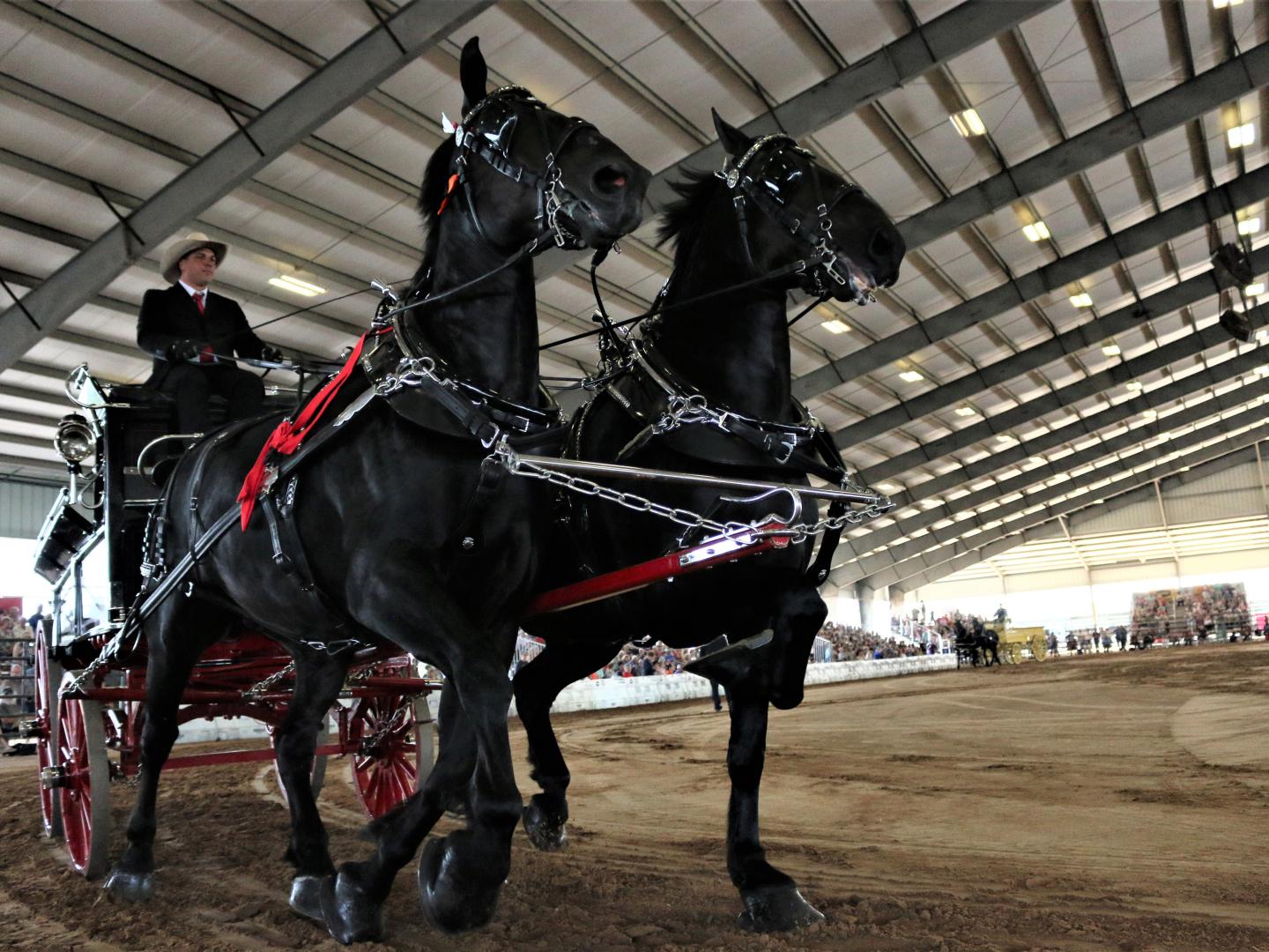 佛罗里达州奥卡拉 Grandview Invitational 马术赛
