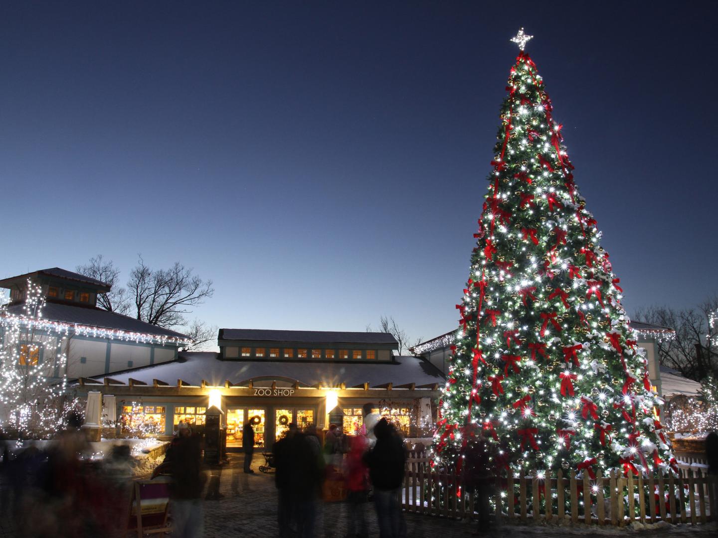 俄亥俄州辛辛那提动植物园的 PNC 灯光节节日装饰