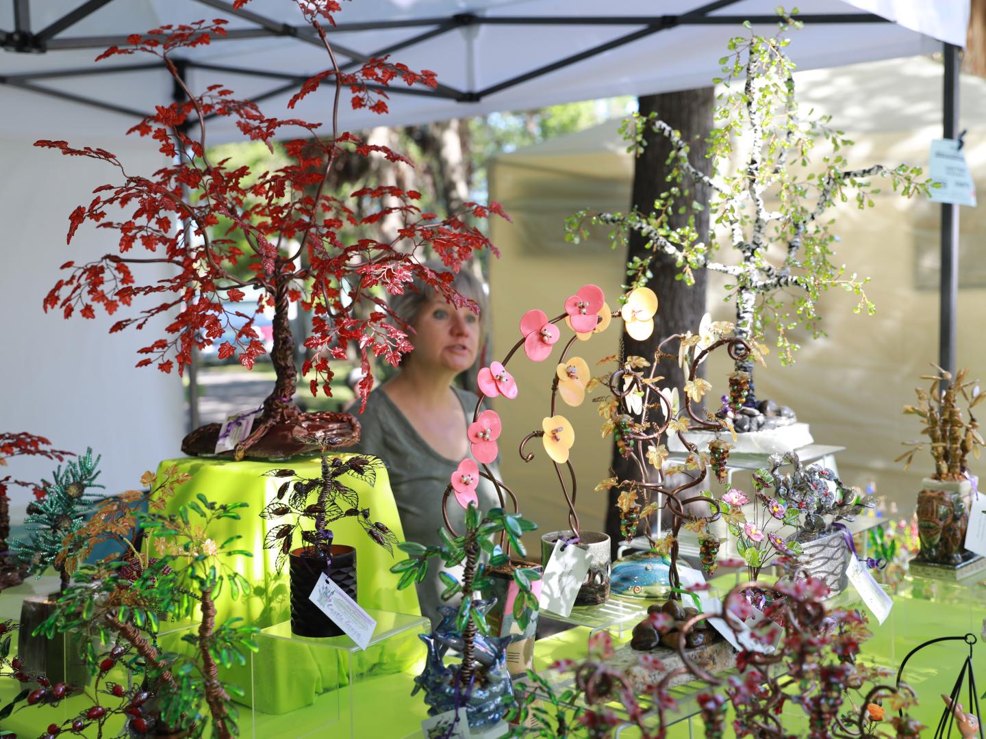 在布鲁克斯维尔的公园艺术节上出售的本地作品