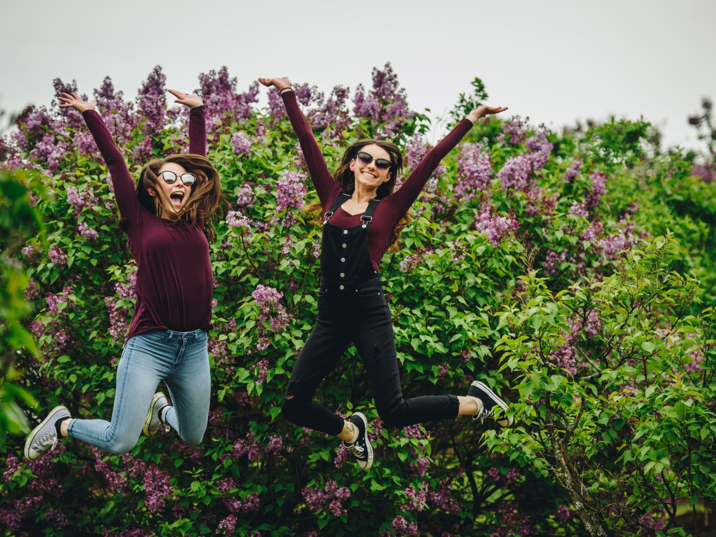 在纽约州罗切斯特的丁香节上，享受缤纷多彩的花园美景