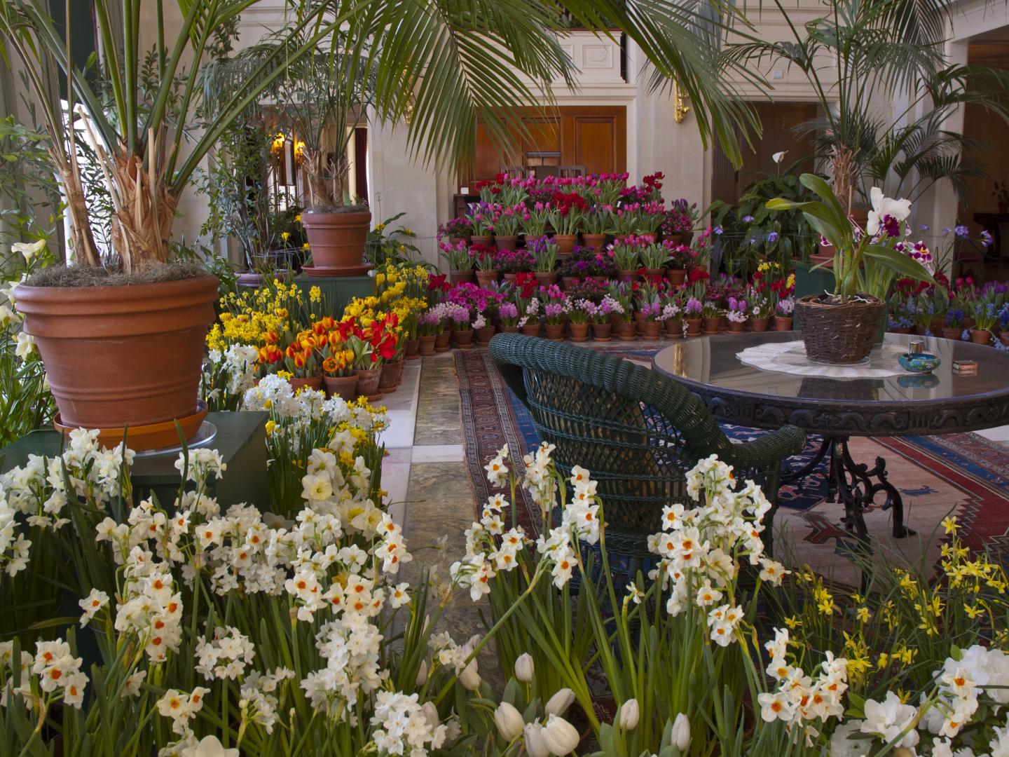 在纽约州罗切斯特一年一度的“Dutch Connection”展览活动期间，五颜六色的鲜花装点着乔治·伊士曼博物馆