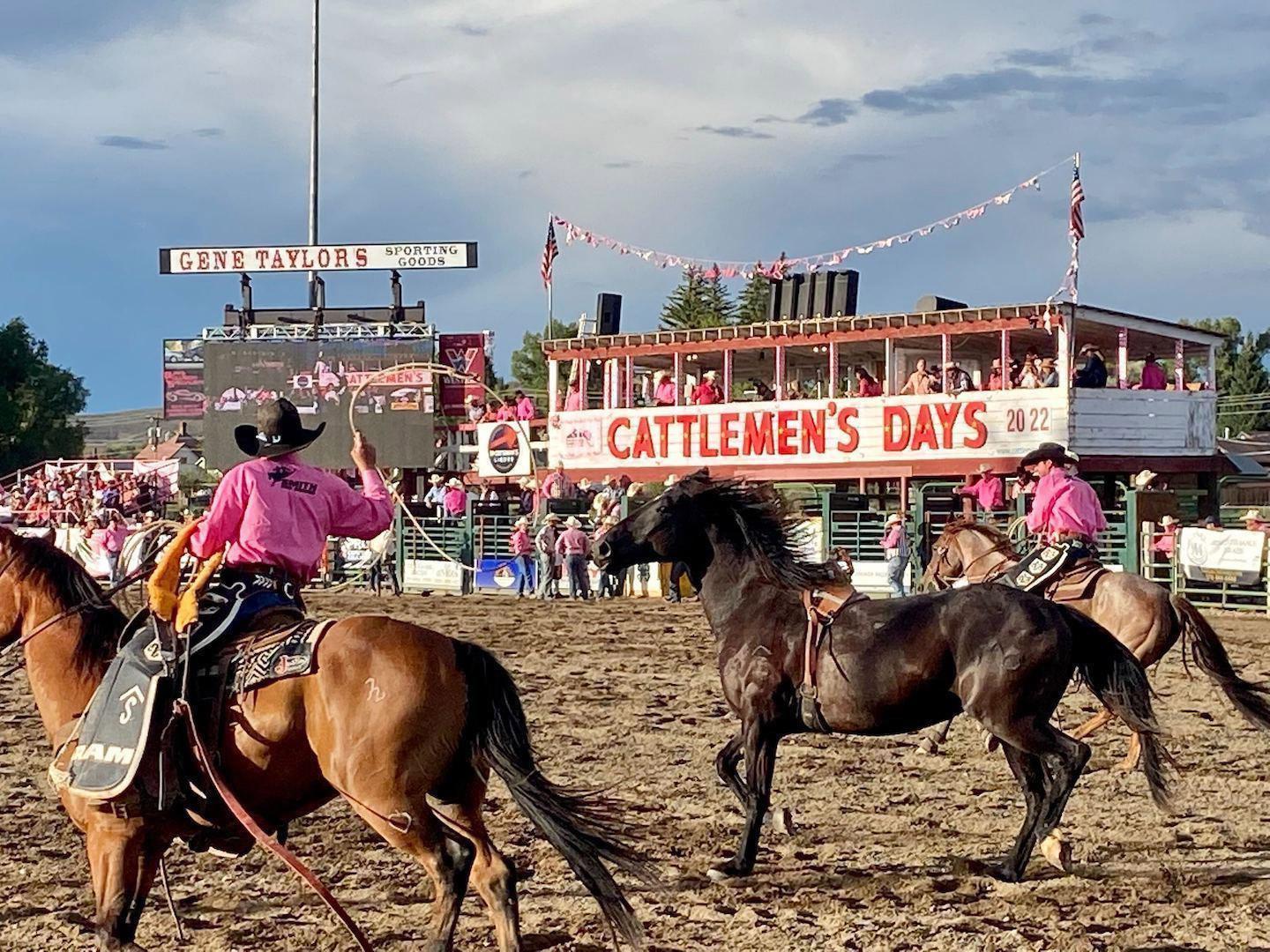 科罗拉多州甘尼森牛仔节期间的牛仔竞技活动