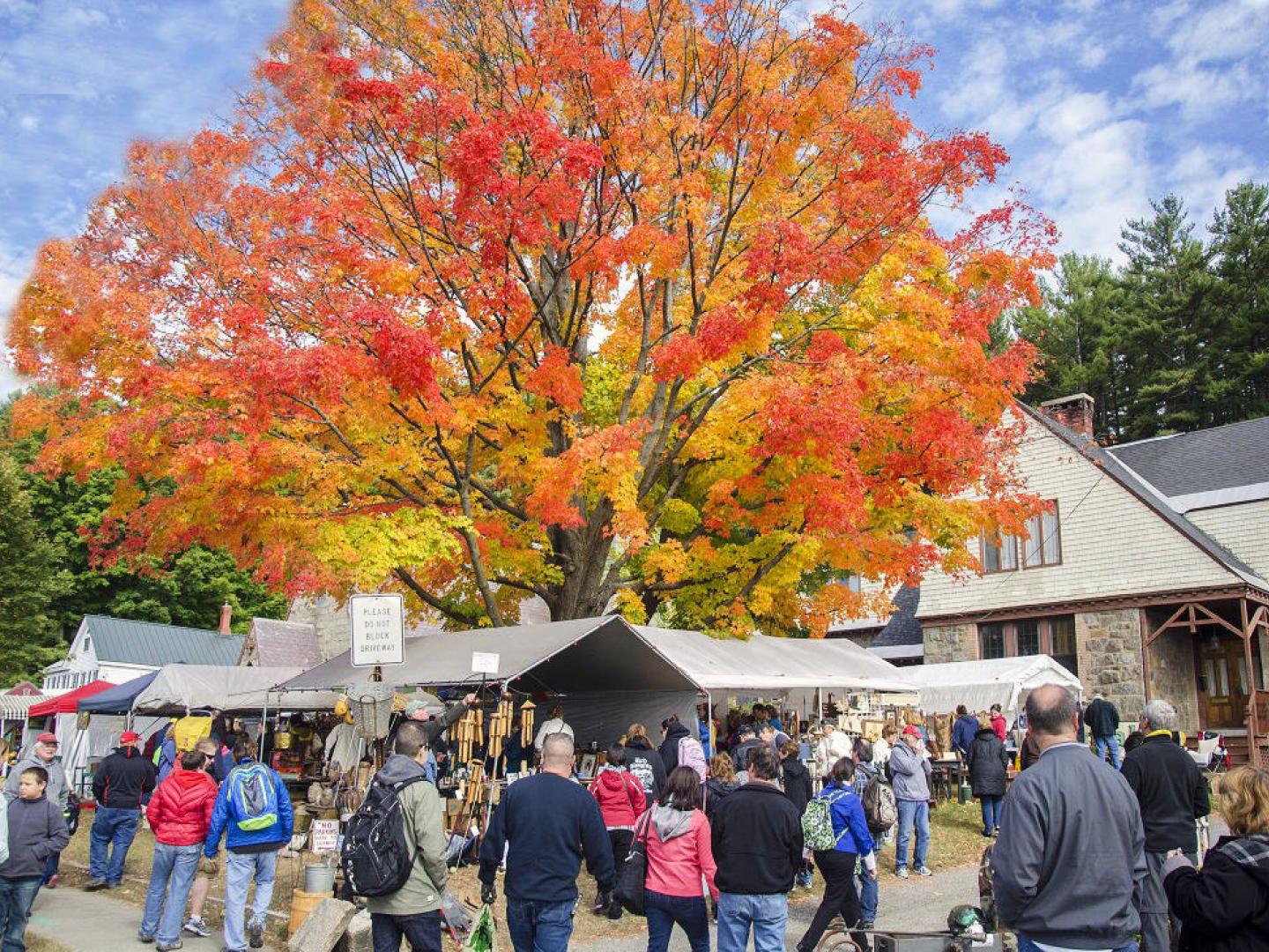 参加纽约州沃伦斯堡举办的全球最大型车库旧物甩卖活动的卖主
