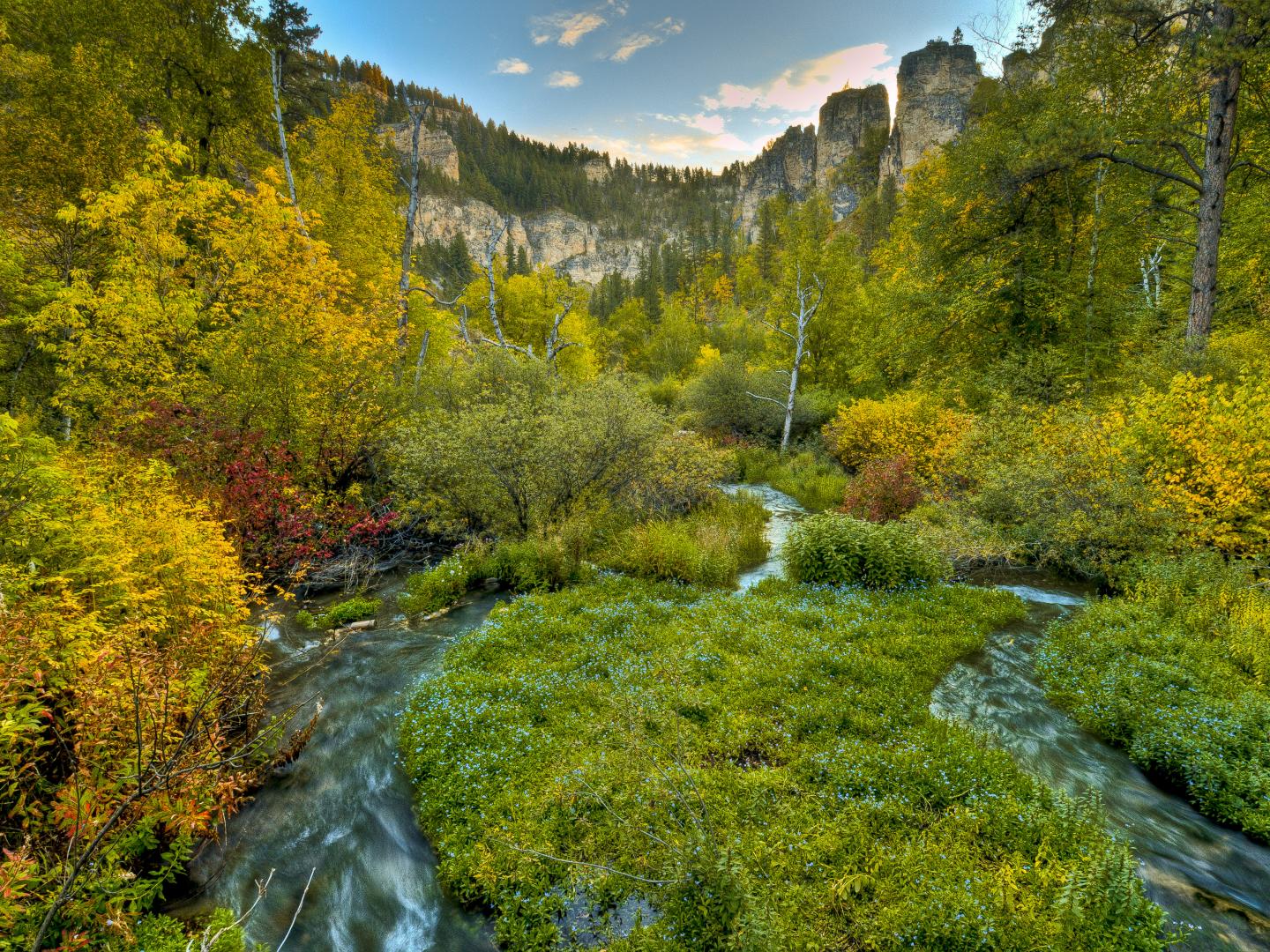 斯皮尔菲什峡谷的锯齿状溪流