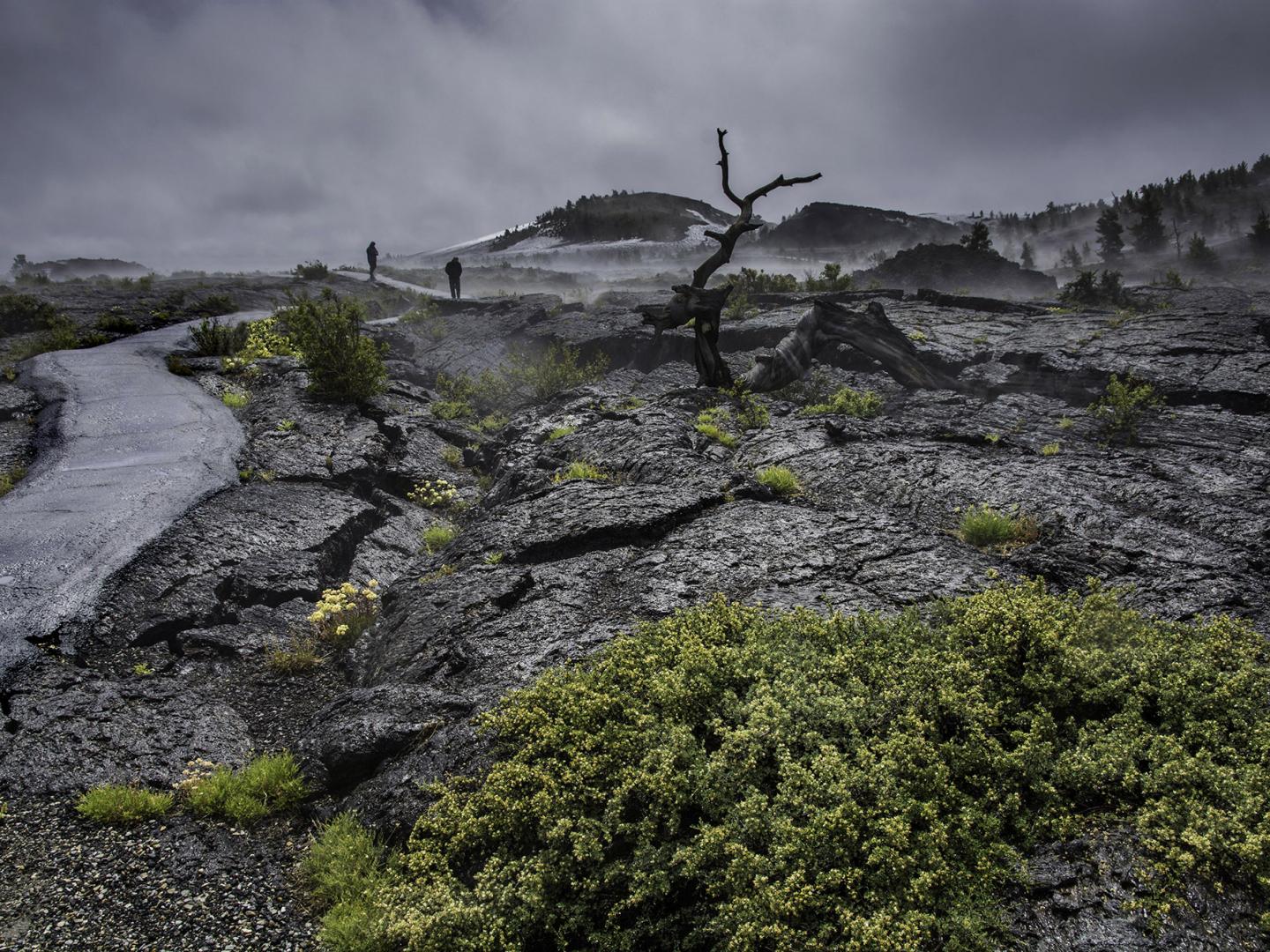 月形坑国家自然保护区