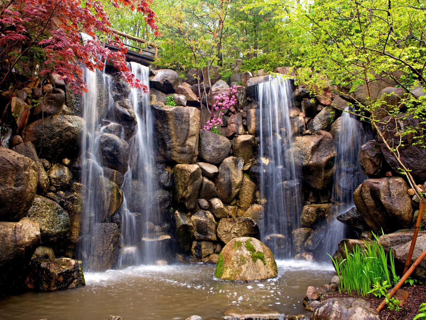 罗克福德安德森日本花园的葱翠瀑布