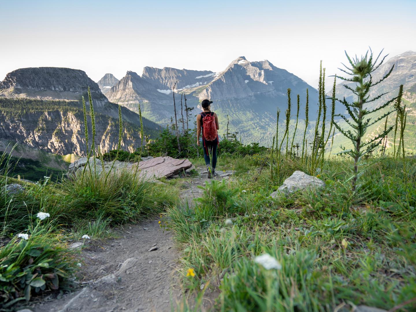 在蒙大拿州的冰川国家公园内沿着 Highline Trail 小径徒步探索