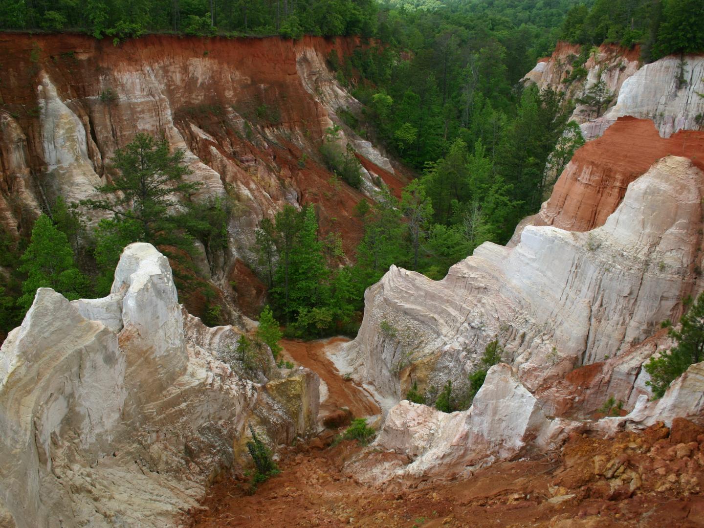 位于佐治亚州兰普金的普罗维登斯峡谷州立公园
