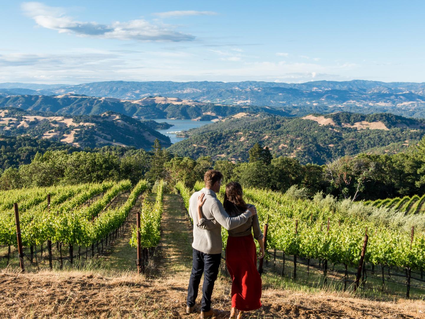 在加利福尼亚州索诺马县的酒庄欣赏索诺马湖美景