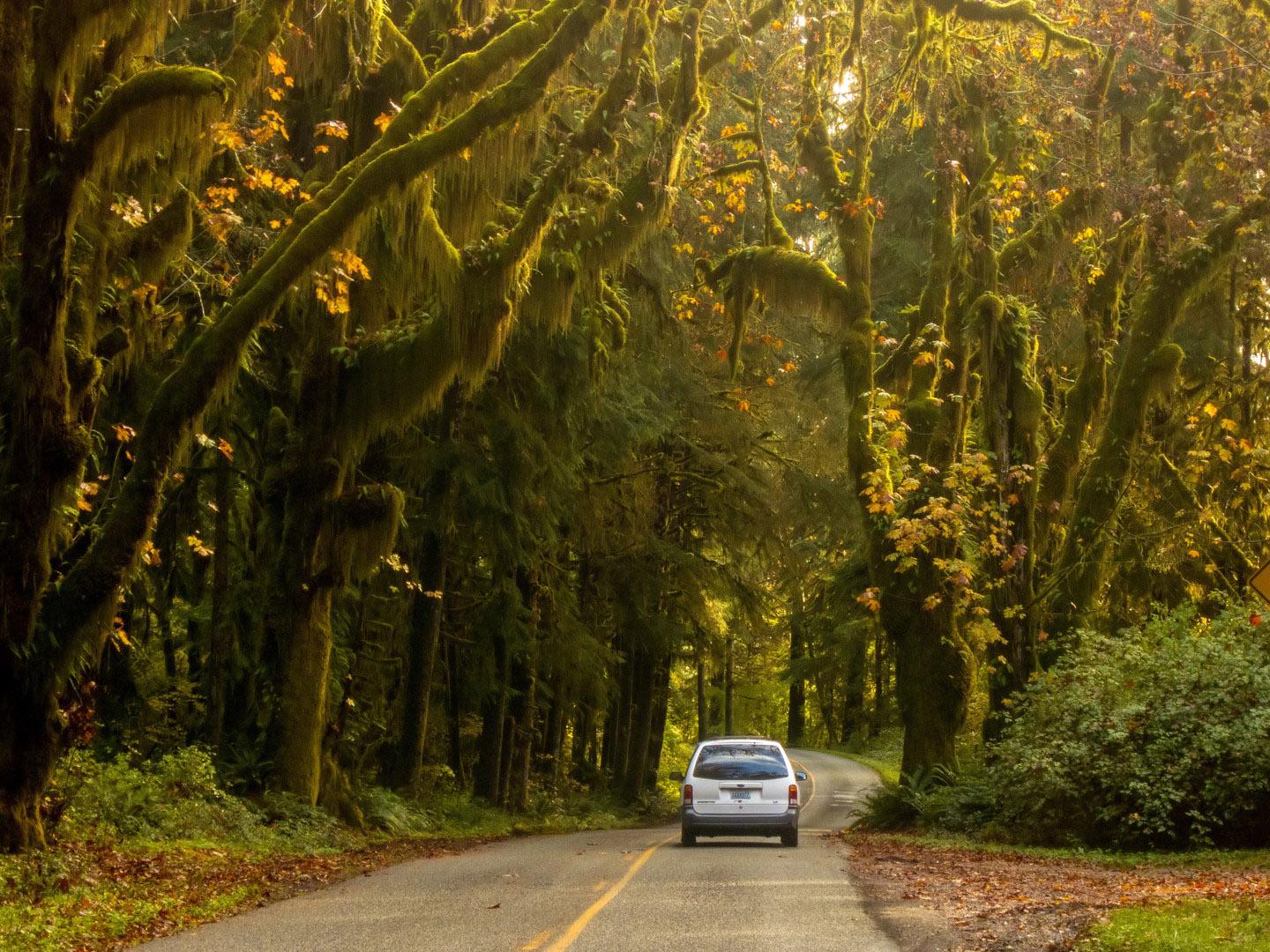 沿华盛顿州奥林匹克半岛太平洋海岸风景道的自驾游美景