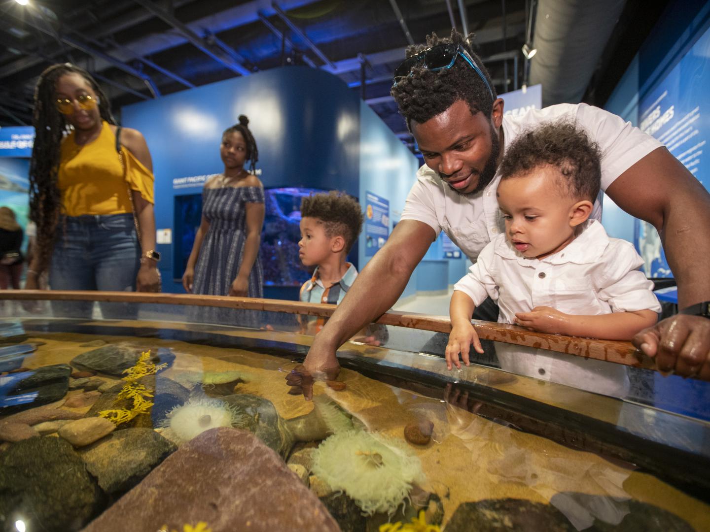 在爱荷华州迪比克的国立密西西比河博物馆与水族馆触摸海洋生物