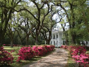 古老的莫比尔布拉格-米切尔之屋