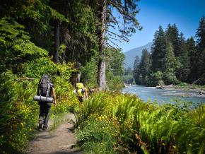 背包客在奥林匹克国家公园沿河畔远足 背包客在奥林匹克国家公园沿河畔远足
