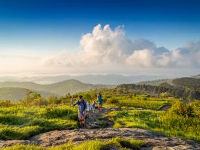 举家前往皮斯加国家森林的 Black Balsam Knob 山徒步旅行