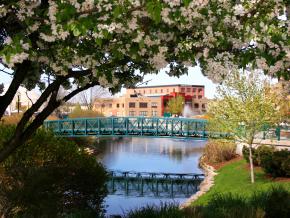 卡拉马祖官方旅游网站