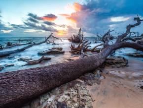 Sunrise at Black Rock Beach in Big Talbot Island State Park