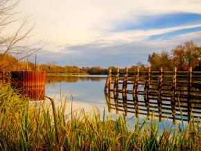 The calm waters of the Savannah River near Augusta