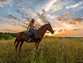 骑上马背，探索 Circle S 牧场