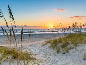 阿米莉亚岛州立公园的海滩日出美景