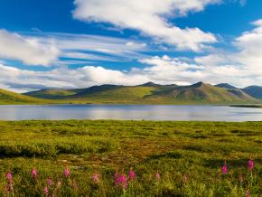 五彩缤纷的夏日山景