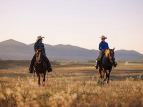 骑马穿越布法罗附近广阔的草原