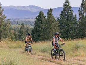 骑行探索洛洛国家森林中的蓝山休闲区
