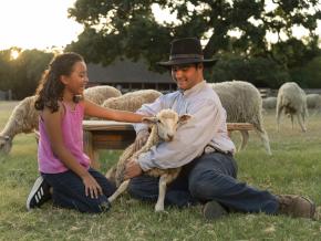在德克萨斯州格雷普韦恩历史悠久的 Nash Farm 农场与农场动物亲密接触
