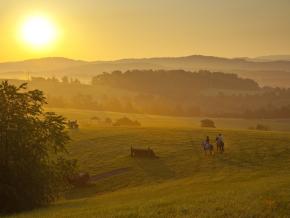 晨光在列克星敦弗吉尼亚马匹中心撒下温暖的辉芒