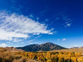 Fall colors surround Bald Mountain
