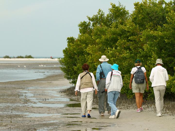 Birders exploring Rookery Bay during the Southwest Florida Festival of Birds