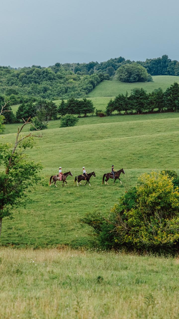 Horseback riding through the countryside of Harrodsburg, Kentucky
