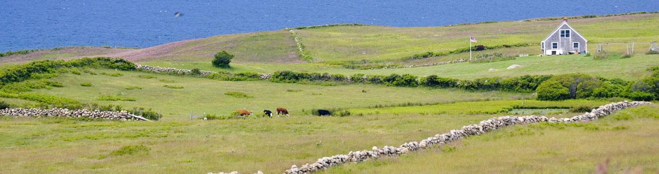 罗德岛州布洛克岛与海岸相连的农田