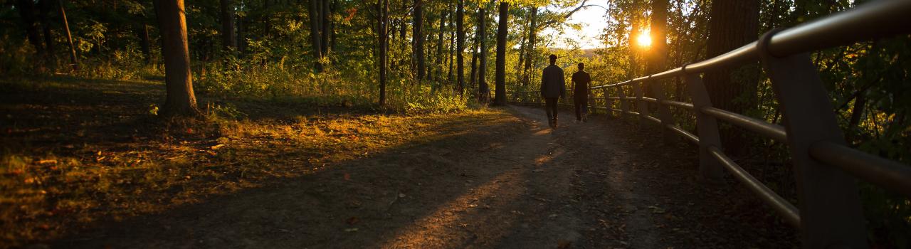 纽约州尼亚加拉大瀑布附近的一条徒步小道上 纽约州尼亚加拉大瀑布附近的一条徒步小道上