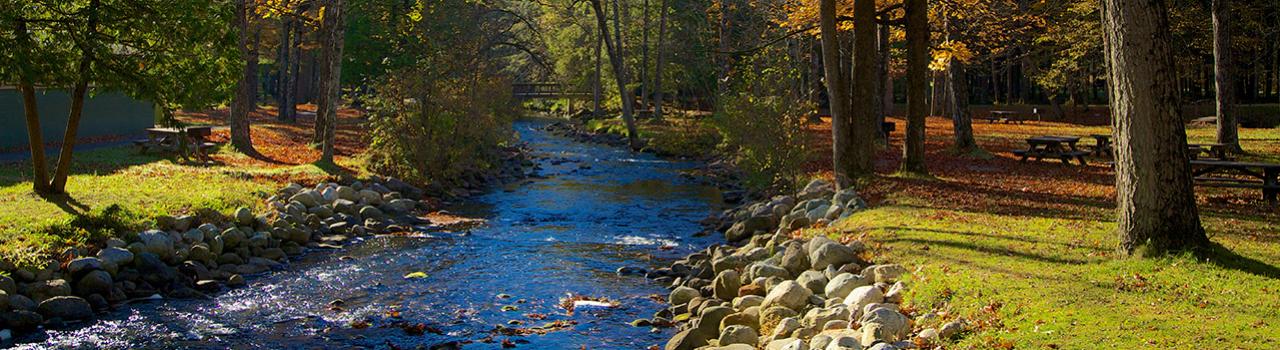 一条流过纽约州萨拉托加斯普林斯的小溪
