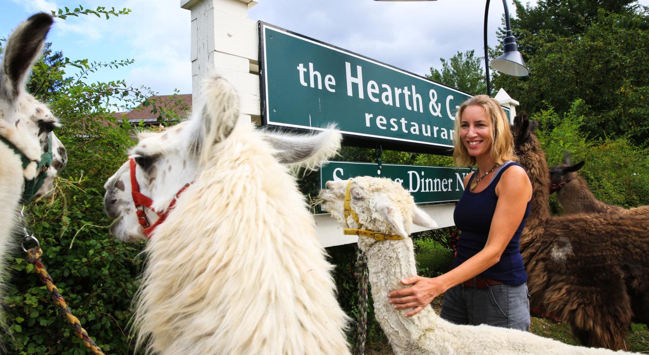 Llama Trek, Smugglers Notch Resort, Vermont 