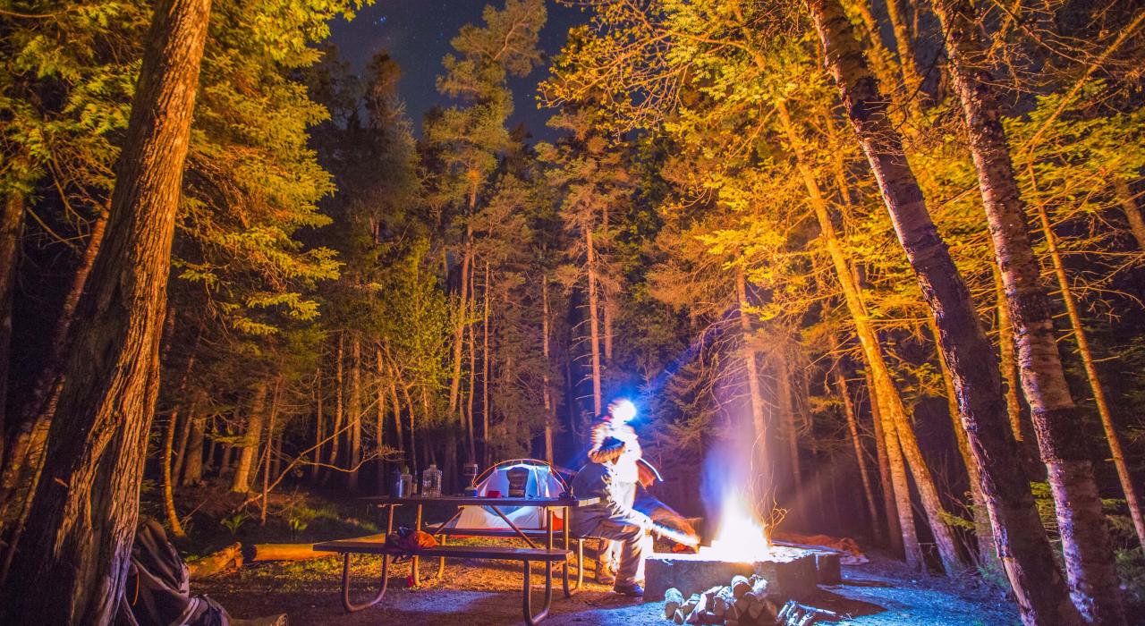 在缅因州临近海岸的芒特迪瑟特岛最顶端的茂密森林中野营
