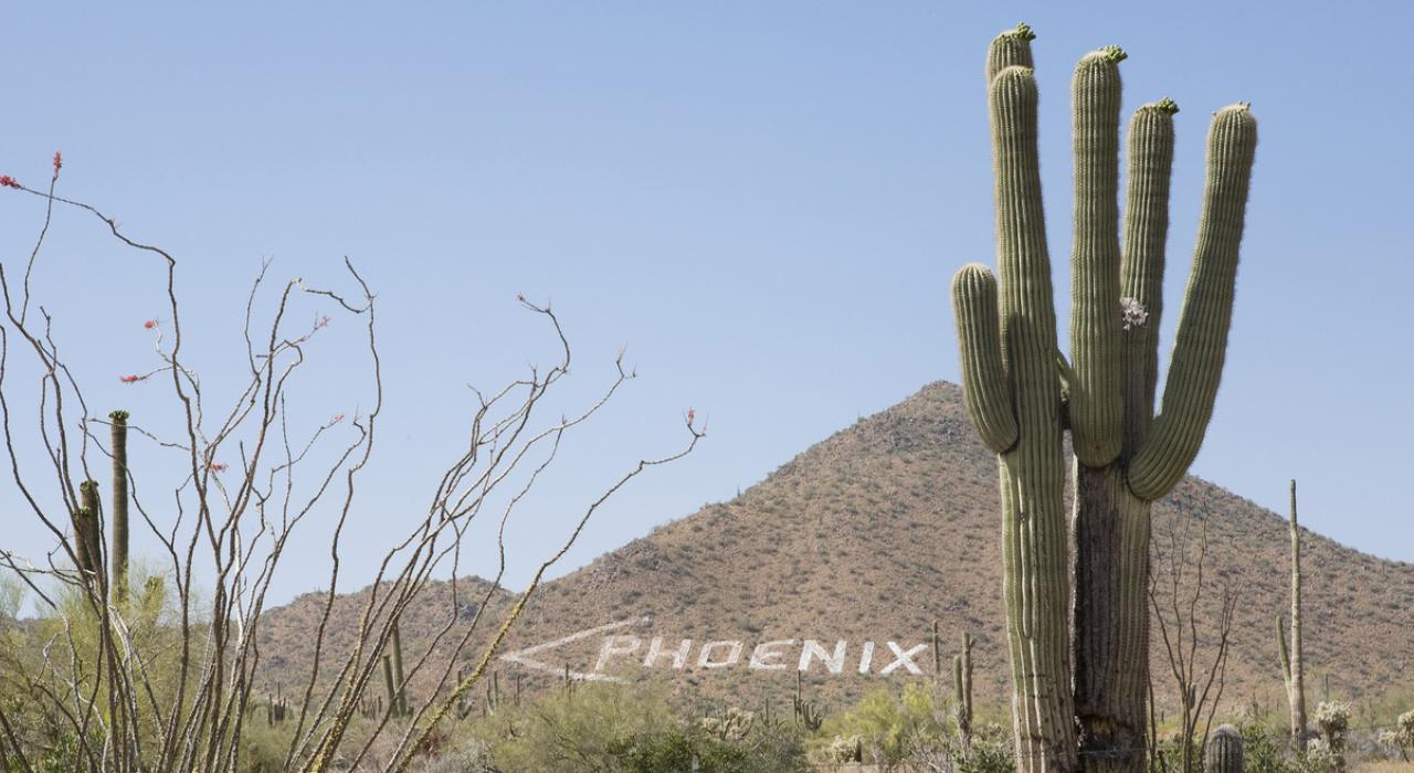 巨人柱仙人掌和山体一侧的路标