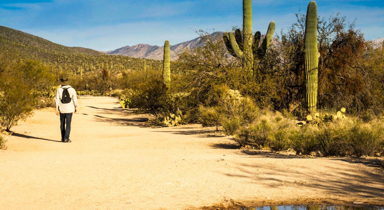 徒步穿越亚利桑那州图森的沙漠