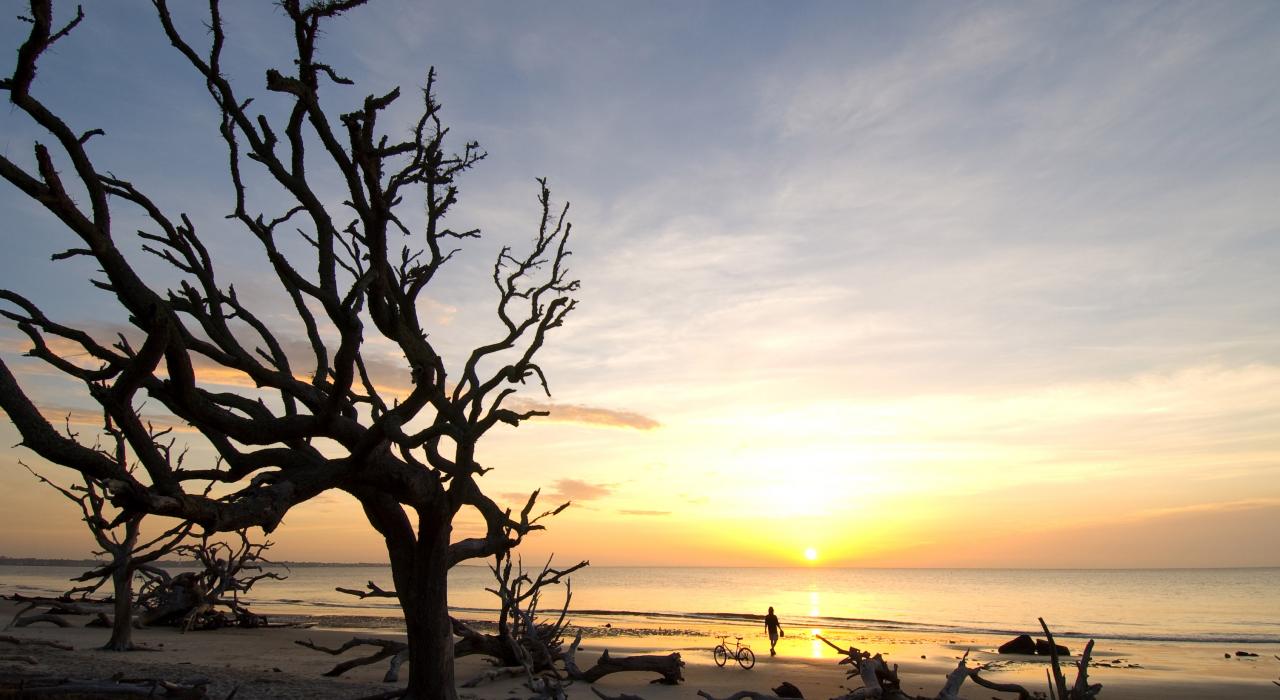 日出时，行走在吉柯岛漂流木海滩上
