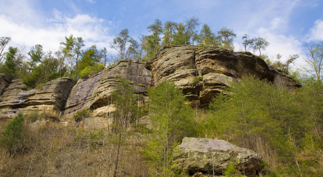 Panoramas sur la gorge de Red River, dans le Kentucky