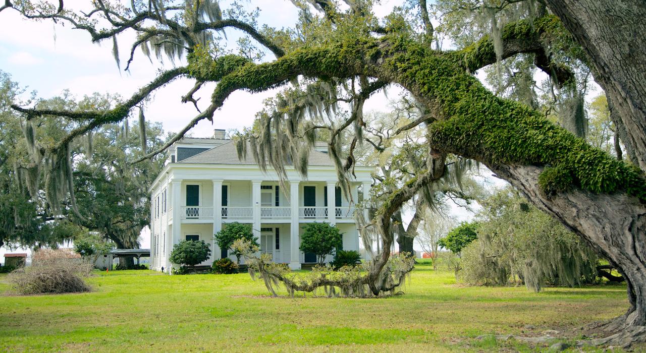 Spanish moss-covered trees surround Oak Alley Plantation in Louisiana