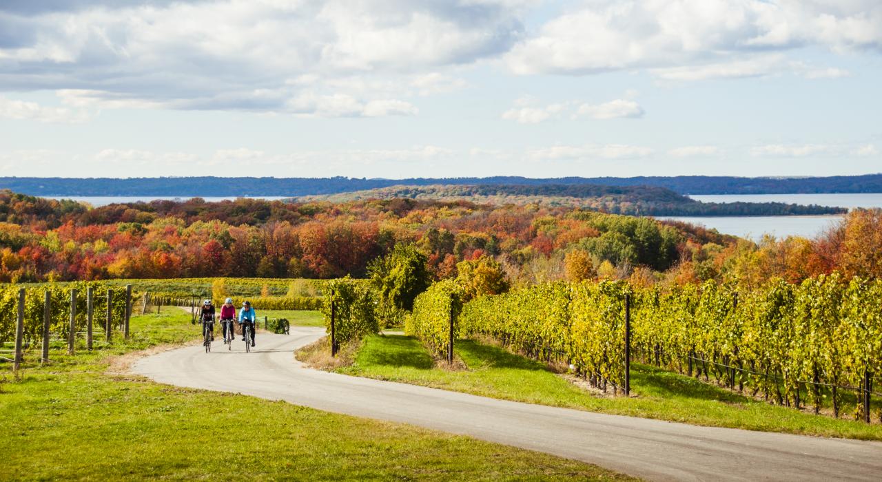 秋季骑车穿越特拉弗斯城葡萄园