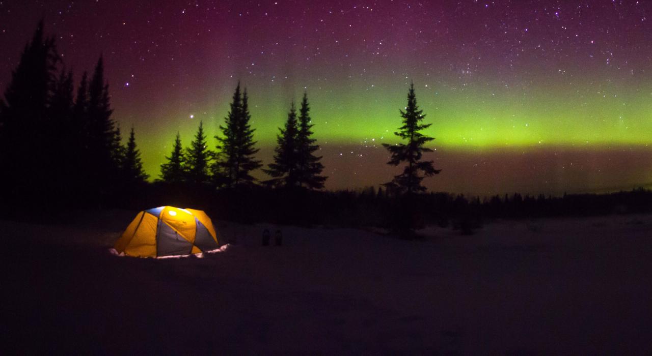 北极光在夜空中舞动