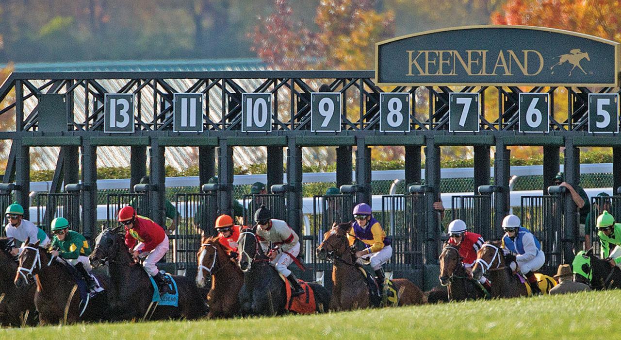 肯塔基州列克星敦基恩兰德赛马场起跑门前的行动