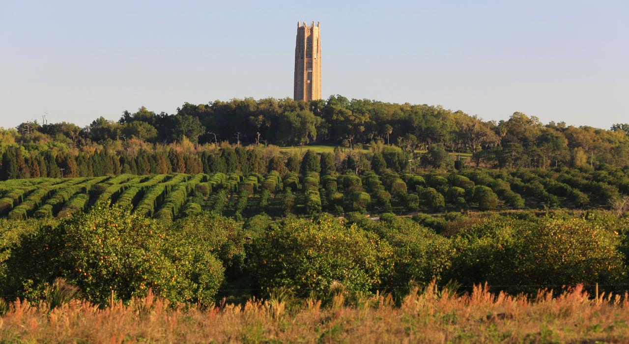 View of Bok Tower Gardens in Lake Wales