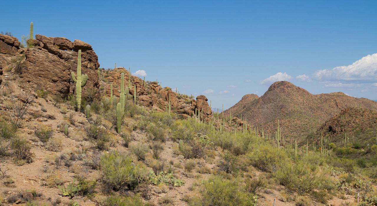 盖茨山口的陡峭岩石与仙人掌