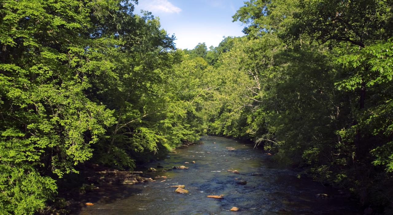 Mountain stream in Great Smoky Mountains National Park near Cherokee, North Carolina