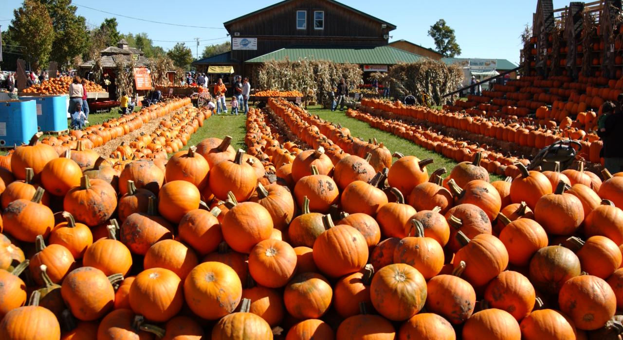 5 Festivals to Celebrate Fall Harvest