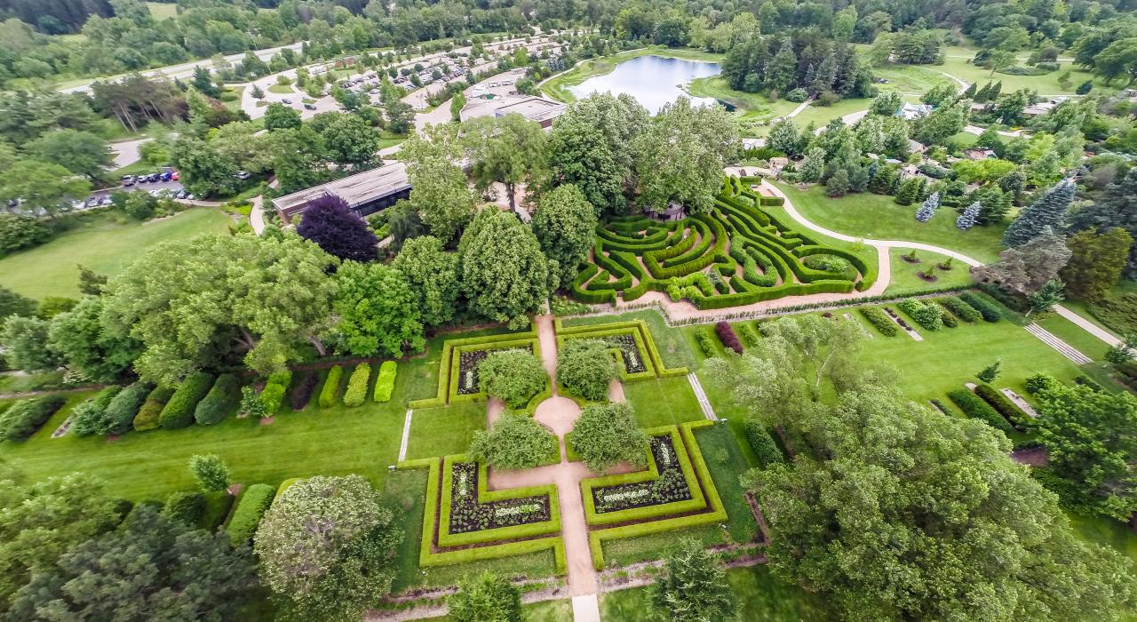 在莫顿植物园的迷宫花园中寻找隐藏的瑰宝