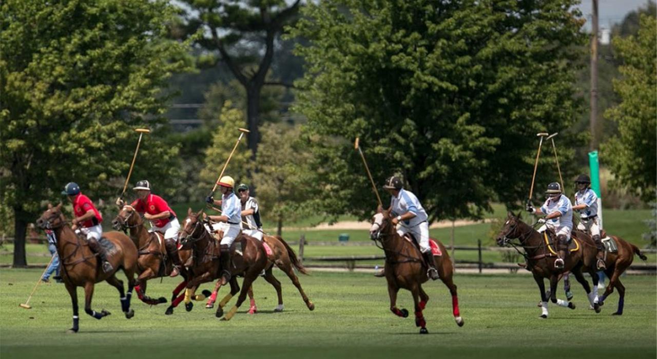 Oak Brook Polo Club 俱乐部充满活力的比赛